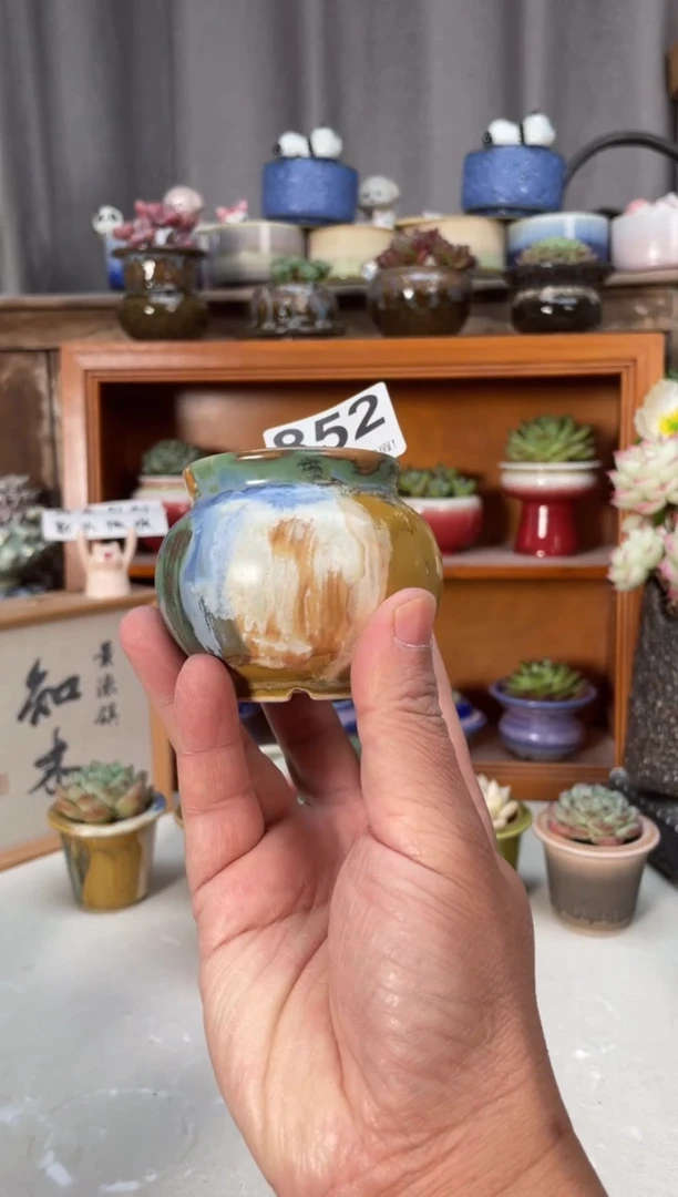 瓷片?***️852小芳直播编号