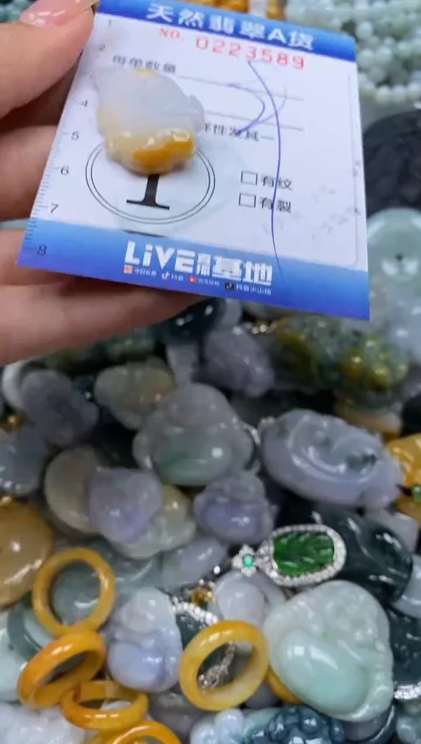 翡翠未镶嵌颈饰闪购0223588