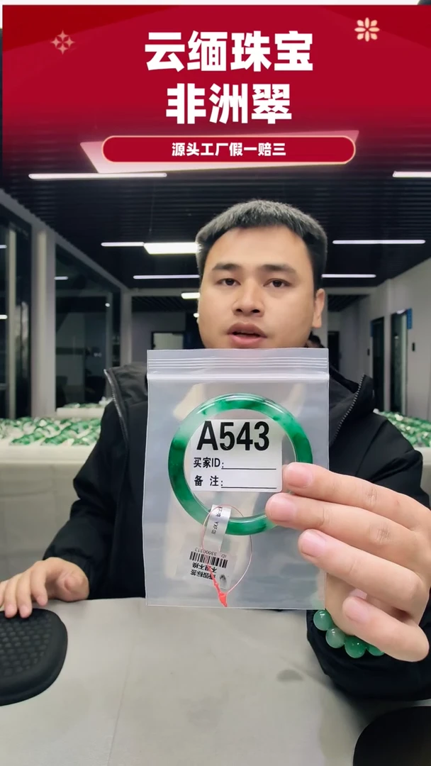 未镶嵌手镯石英质玉（非洲翠）58圈口A543