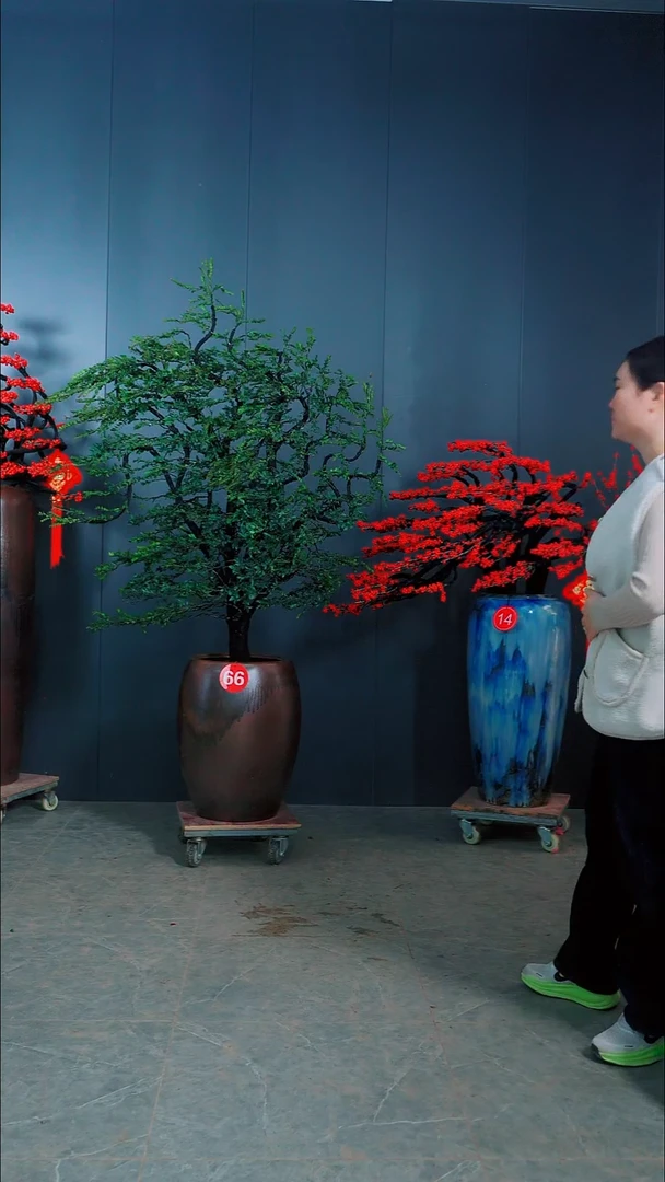 无花朵爷*广东小叶紫檀.北美冬青.14.66号