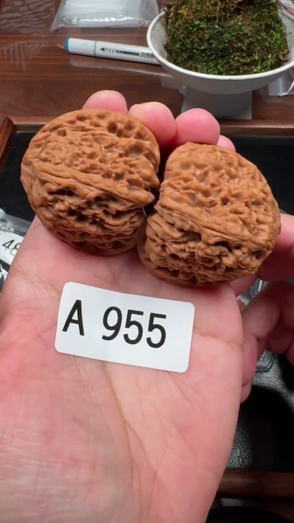 把件文玩核桃A955三角疆边肚同尺全品无修42尺