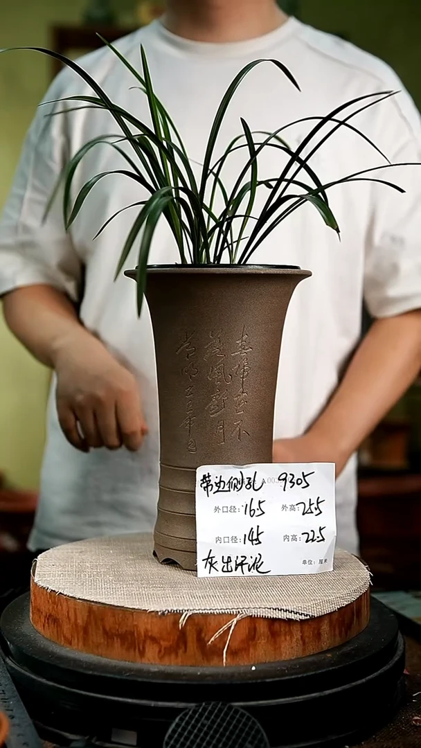 紫砂花盆花卉园艺9305