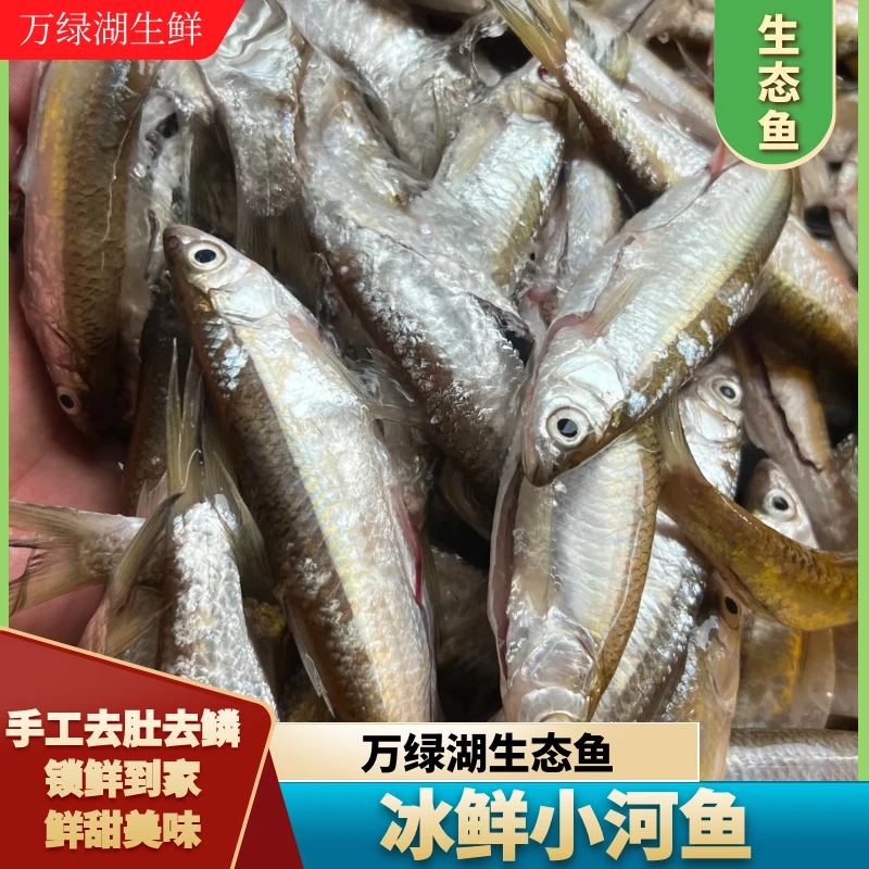 鱼哥俩冰鲜活冻万绿湖原生态小白条手工去肚顺丰冷链新鲜到家
