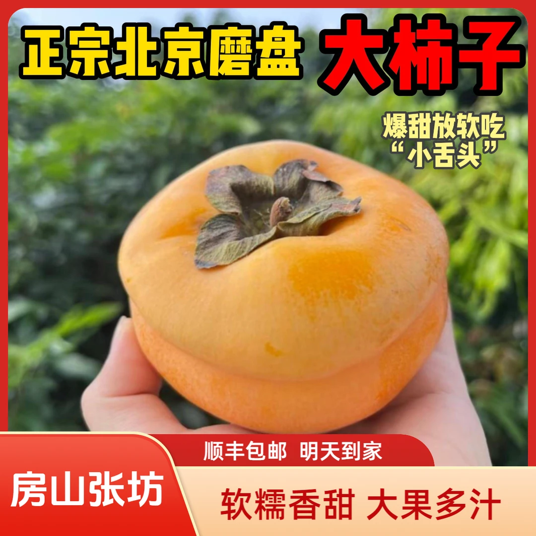 【北京甜柿磨盘柿】房山磨盘软柿子放软吃蜜甜张坊磨盘柿子脆柿懒柿柿饼水果京津冀顺丰次日达柿子柿子北京市