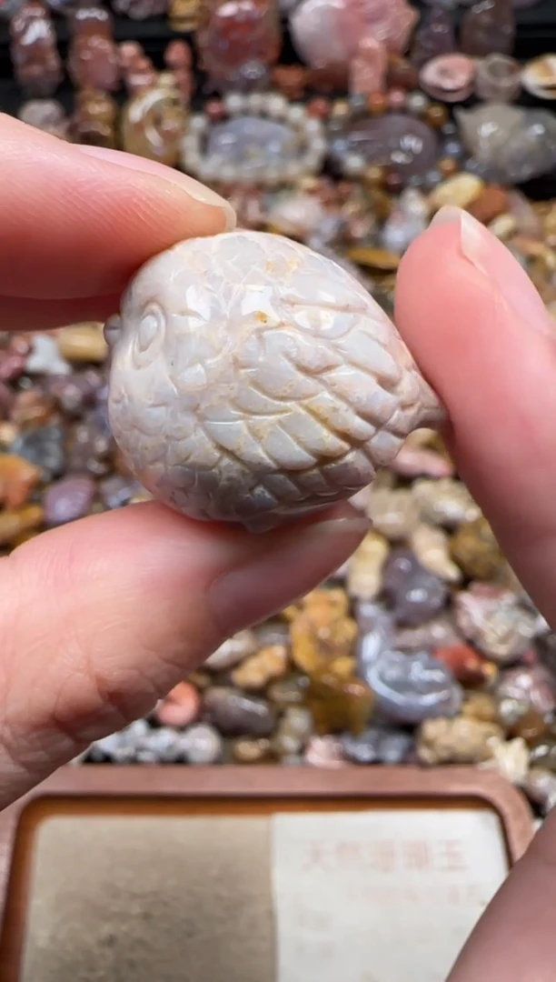 颈饰未镶嵌硅化珊瑚（珊瑚玉）753