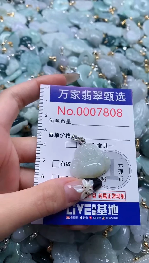 翡翠未镶嵌颈饰7808