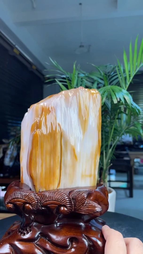未镶嵌硅化玉（树化玉）珠宝奇石2810（带座高度27厘米）