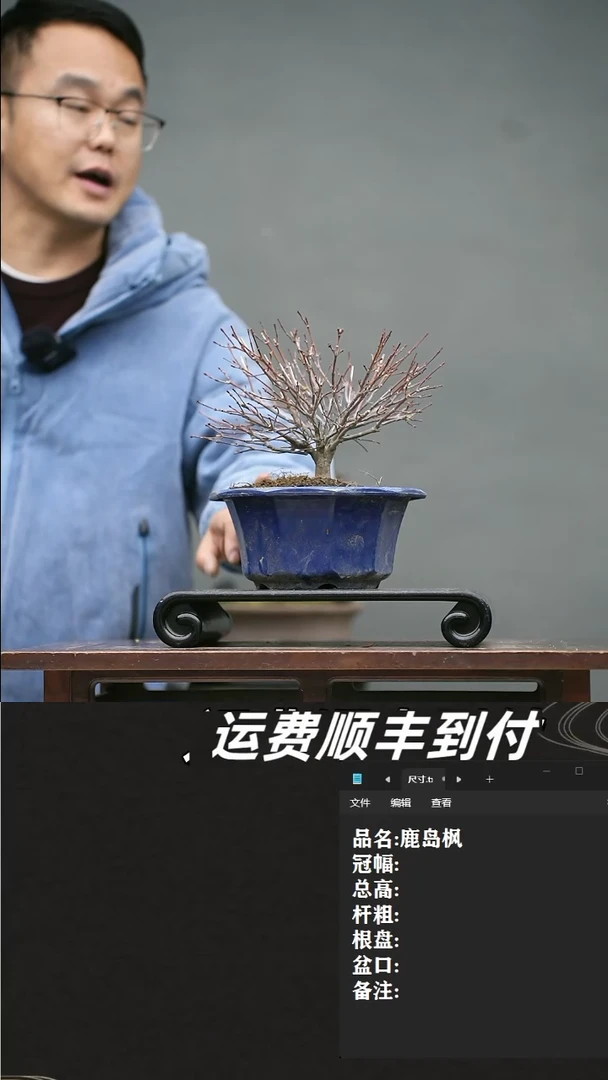 【闪购商品】17 鹿岛枫