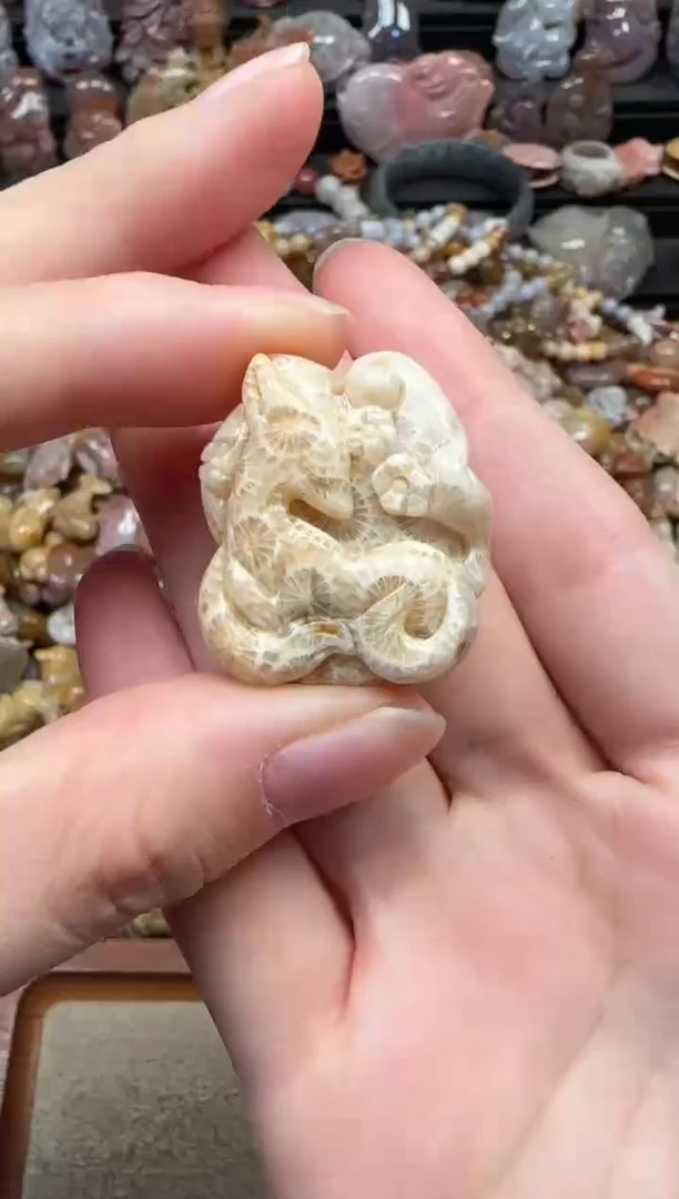 颈饰未镶嵌硅化珊瑚（珊瑚玉）452