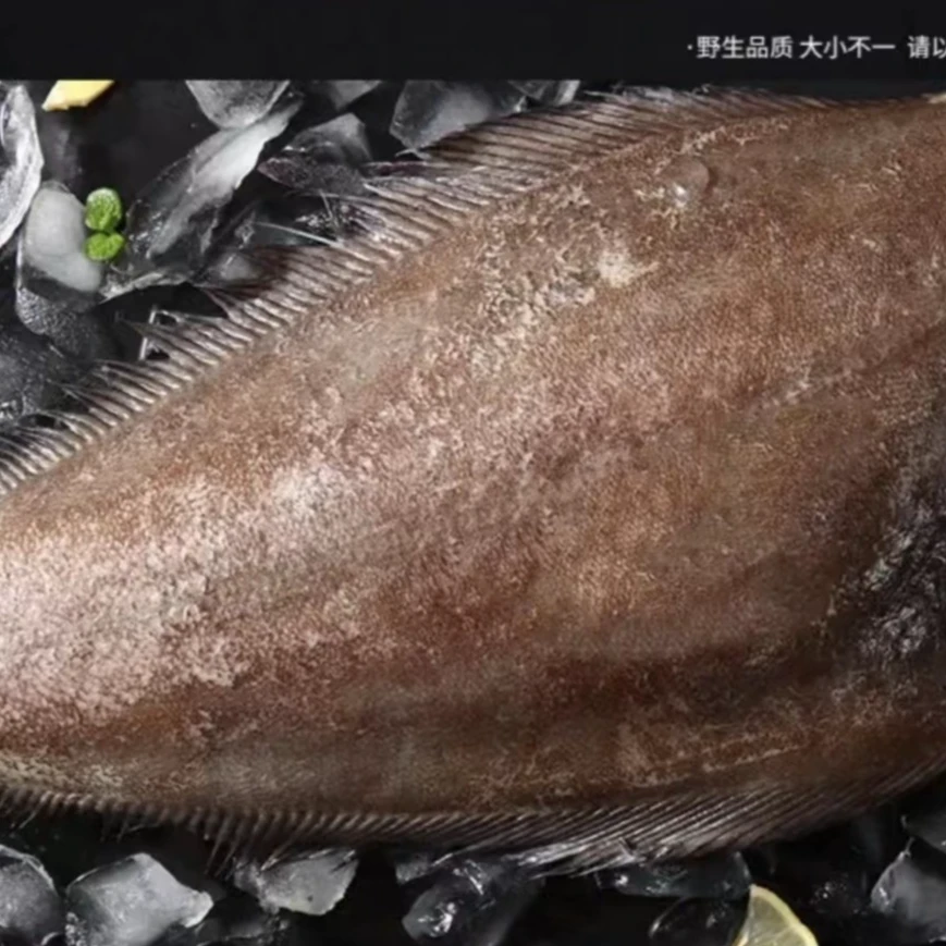 【鲽鱼段】深海鲽鱼中段 肉质鲜美  价格实惠