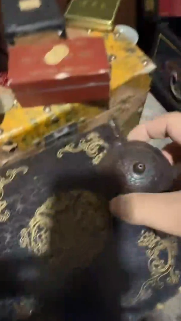 木闪电购链接精品摆件黑壶