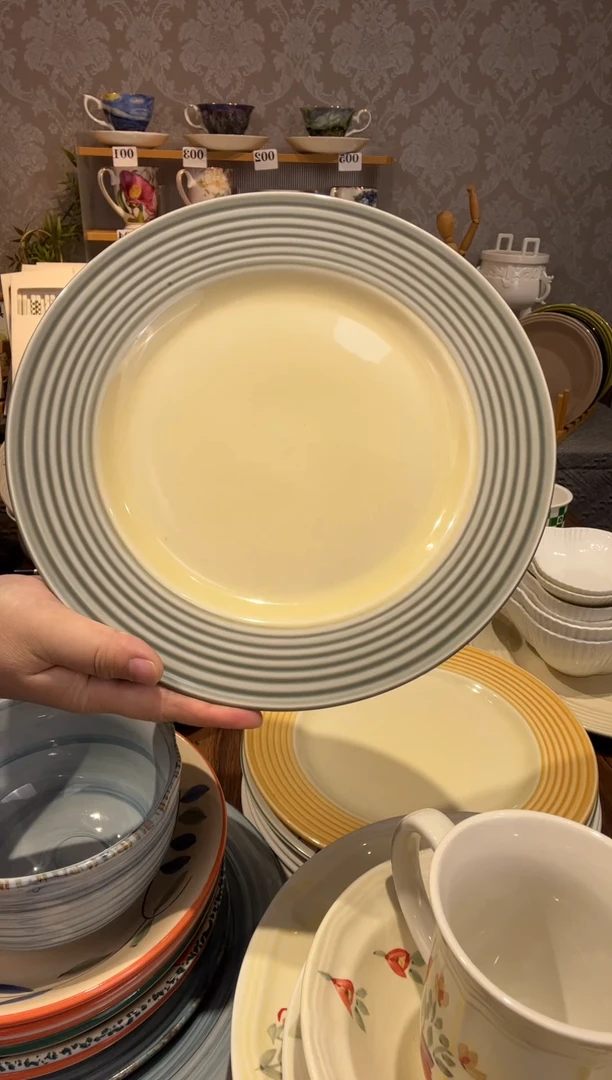 陶瓷10.5英寸主餐盘一个