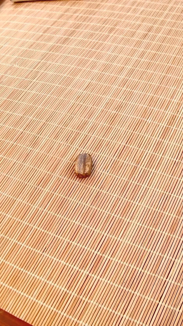 【闪购商品】沉香吊坠海南莺歌绿奇楠小牌子1个