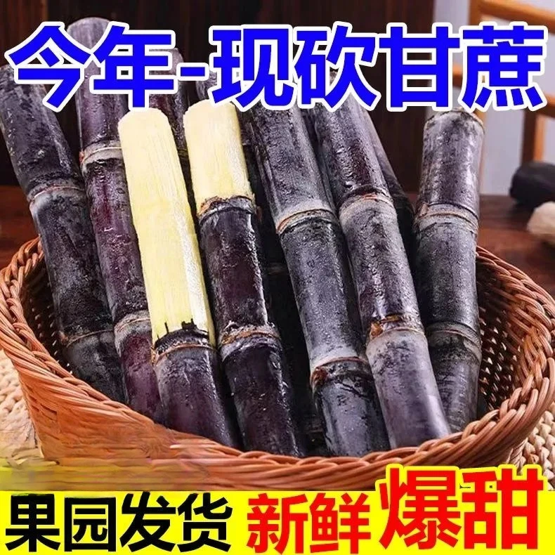 广西特产黑皮紫甘蔗当季新鲜水果