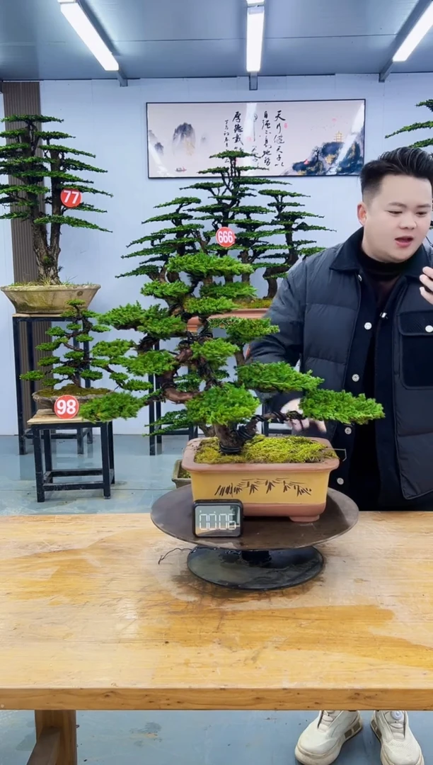 以实际为准0000000000