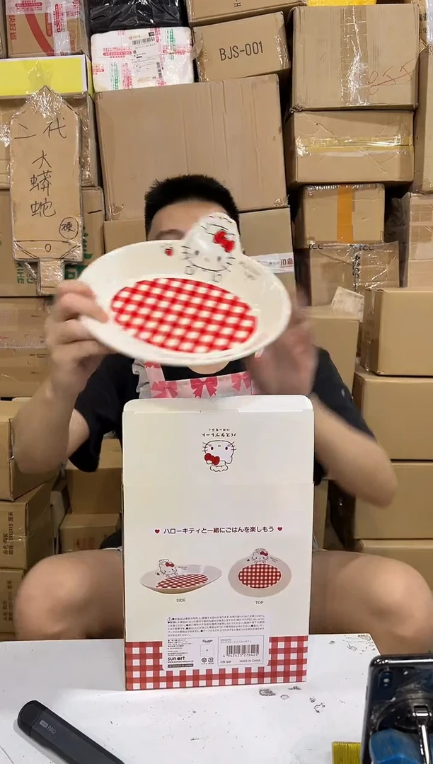 瓷片原盒kt猫红格子餐盘