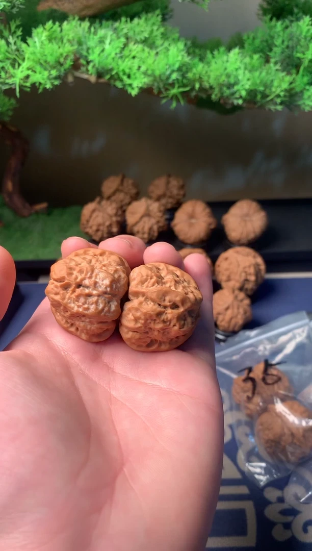 【闪购商品】文玩核桃把件36蛤蟆头