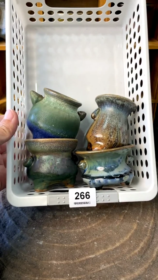 266【多肉花盆多肉盆】