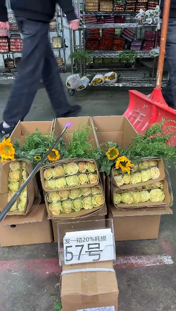 57号♥中通含20%耗损发一箱