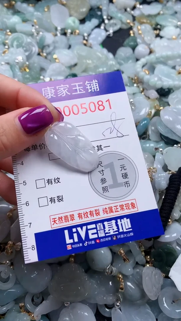 颈饰未镶嵌翡翠5081