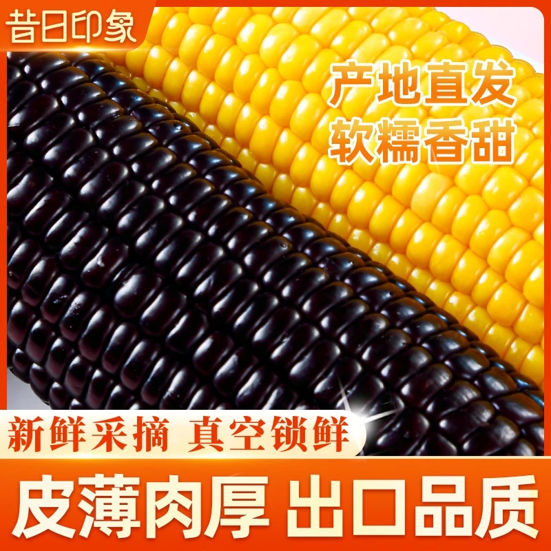 【5-6月到期】东北黑玉米糯新鲜现摘真空装包黏甜玉米