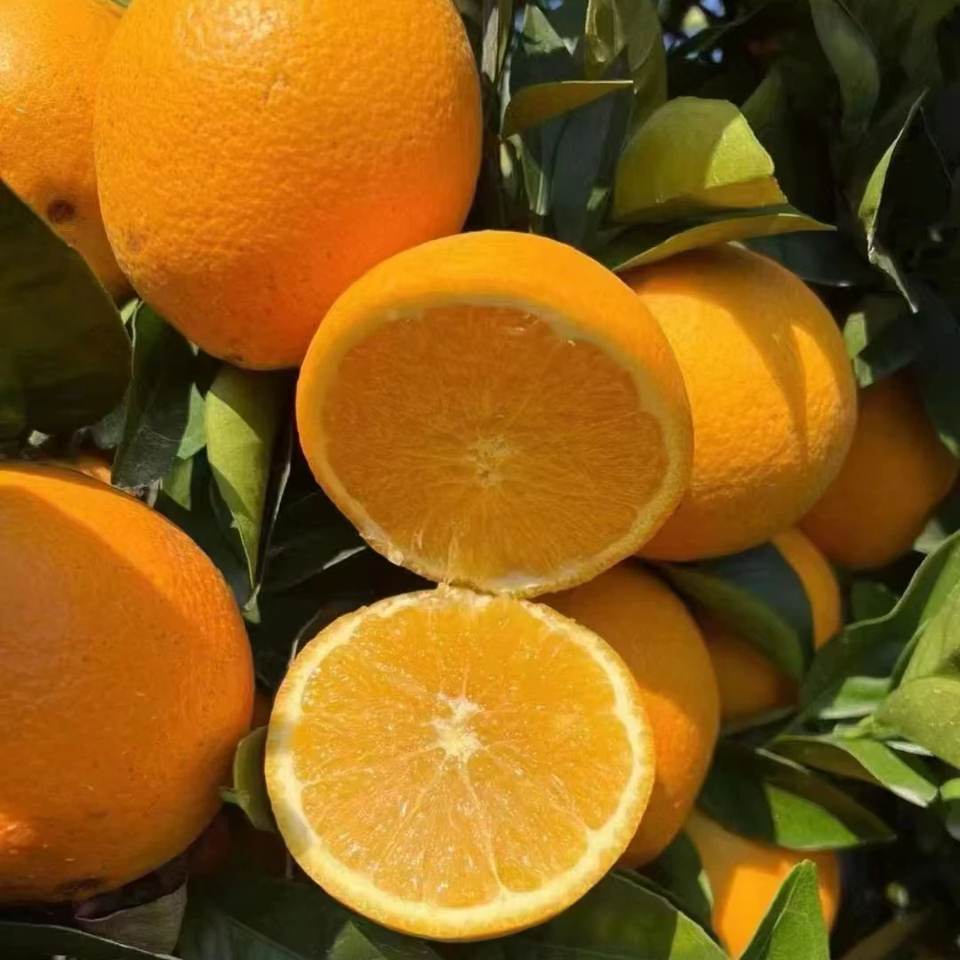 【赣州直发】正宗赣南脐橙5/10斤香甜爆汁新鲜应季水果橙坏果包赔C