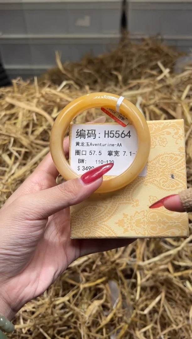 未镶嵌手镯石英质玉H5564