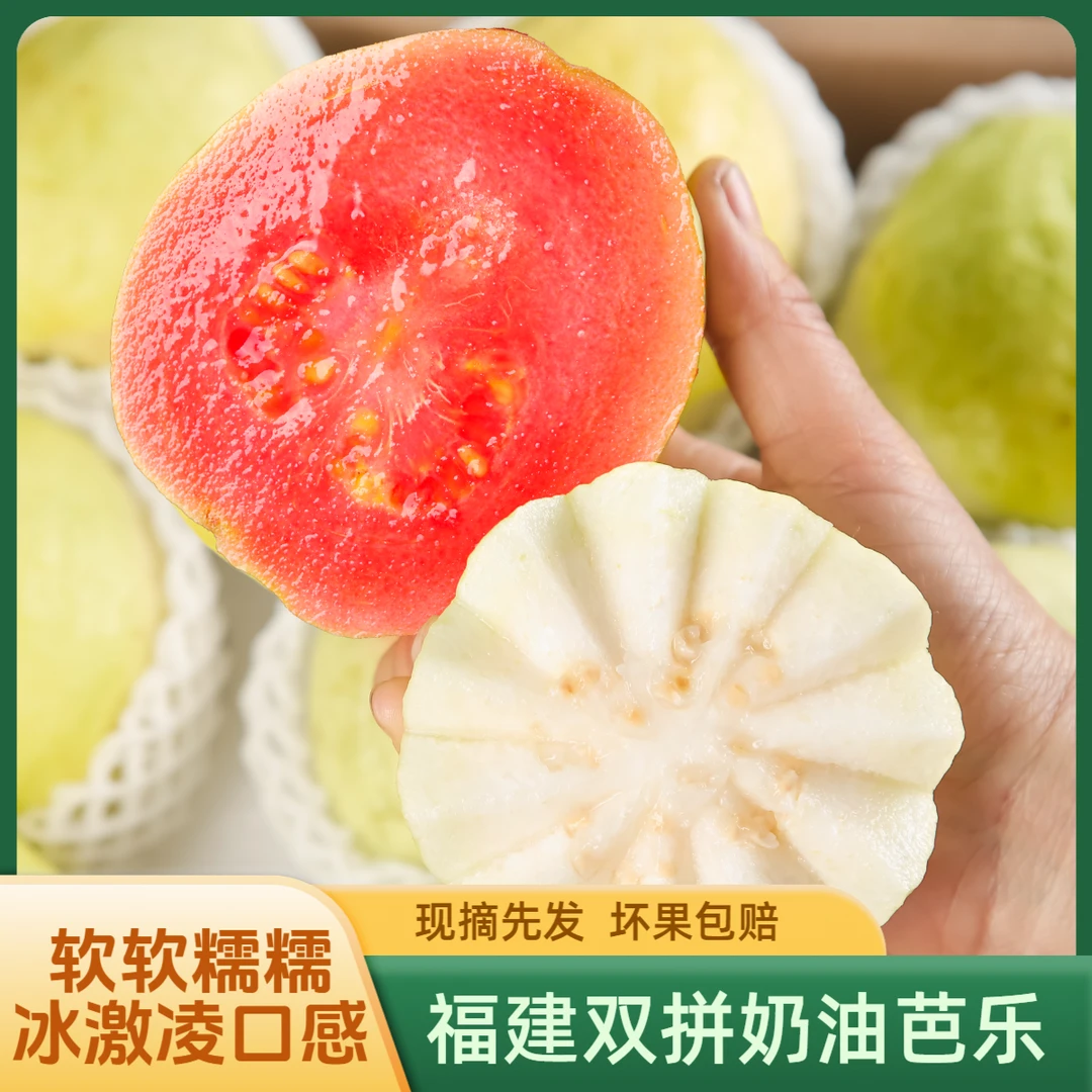 正宗福建奶油芭乐软糯香甜现采现发新鲜水果红心软芭乐正宗番石榴