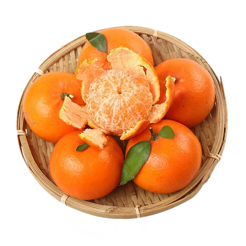 【小刘村长】新鲜当季沃柑口感清甜多汁