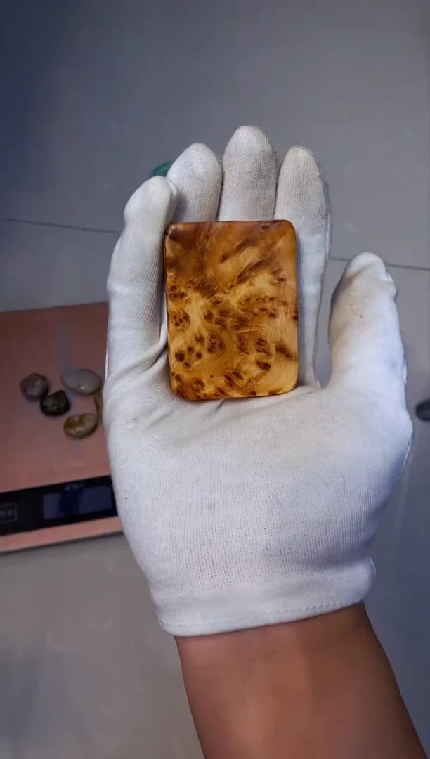 【闪购商品】柏木11崖柏崖柏崖柏