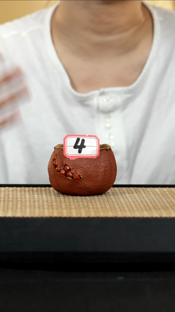 紫砂壶宜兴紫砂壶4