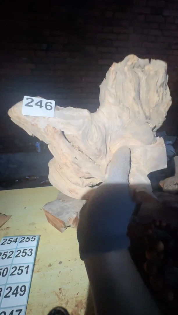 柏木太行陈化崖柏现切先拍！卡   随机一片！！！（1单1片）246