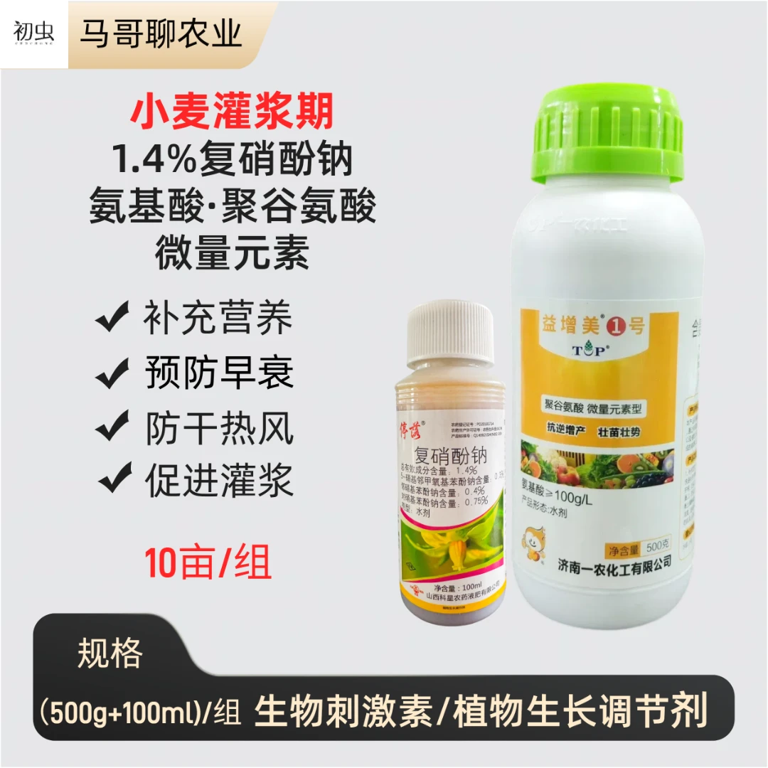 小麦灌浆期防早衰补充营养促进灌浆防干热风复硝酚钠氨基酸叶面肥