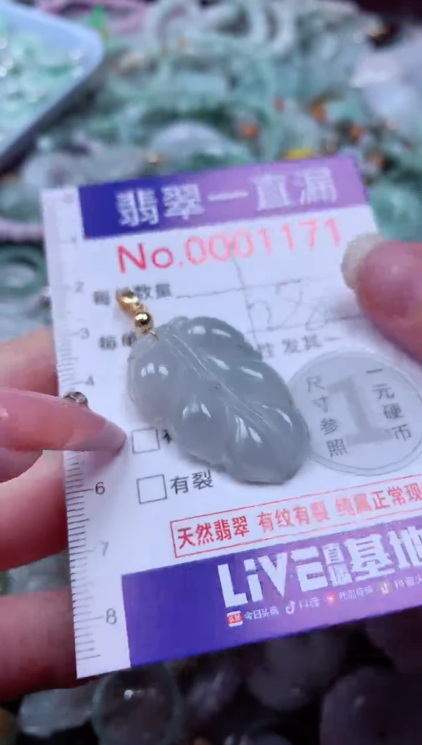 翡翠未镶嵌吊坠(不含链)1171