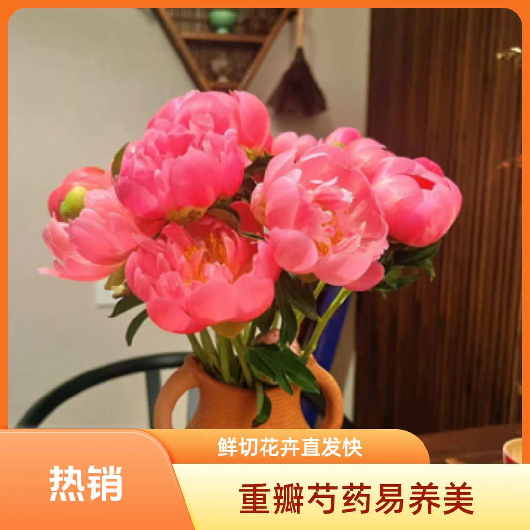 顺丰重瓣芍药落日珊瑚鲜切花菏泽基地直发生日礼物家用生活鲜花