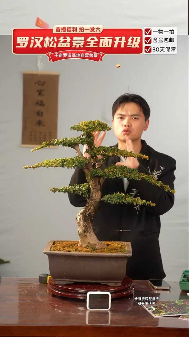 以实际为准专属于  大哥的闪购链接