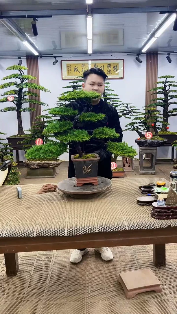 【闪购商品】000000000