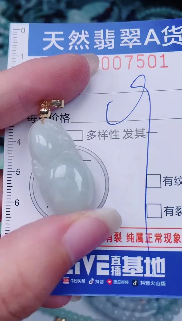 颈饰未镶嵌翡翠00007501