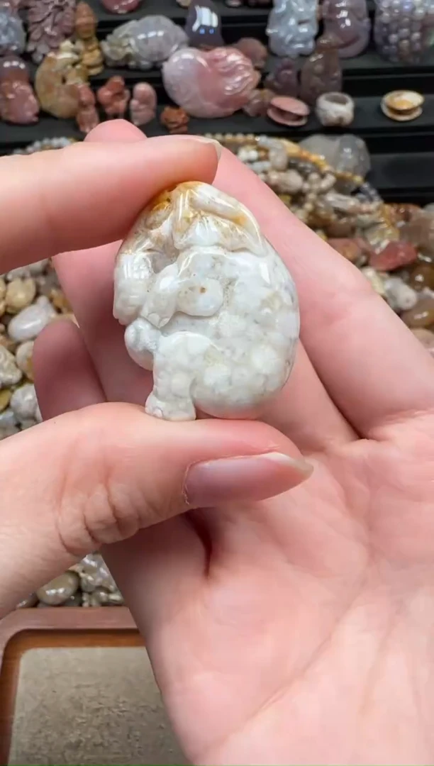 颈饰未镶嵌硅化珊瑚（珊瑚玉）434