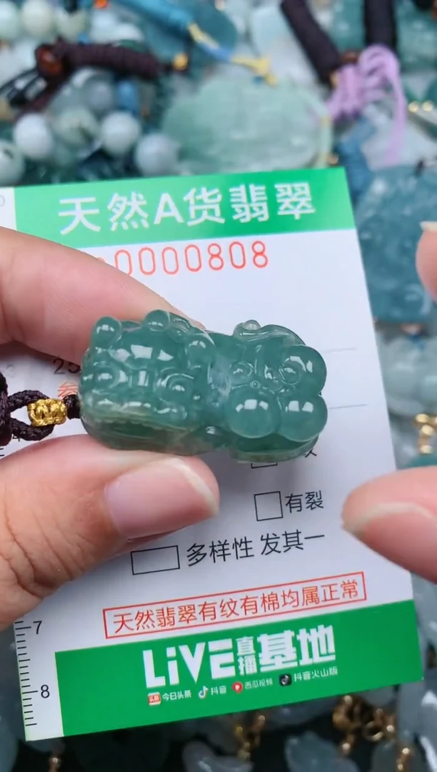 翡翠未镶嵌颈饰.0000808