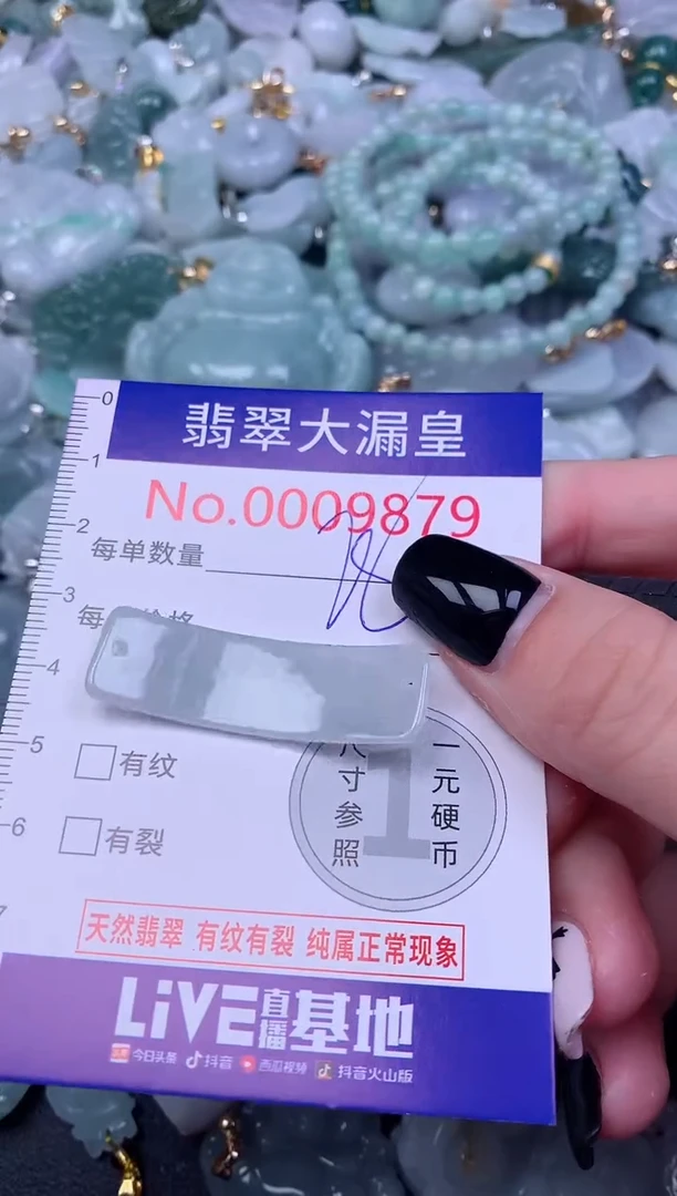 颈饰未镶嵌翡翠9879