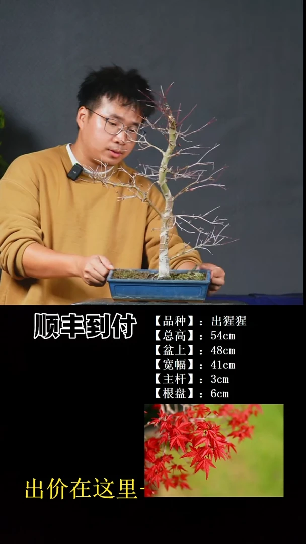 无花朵出猩猩bubaoyou