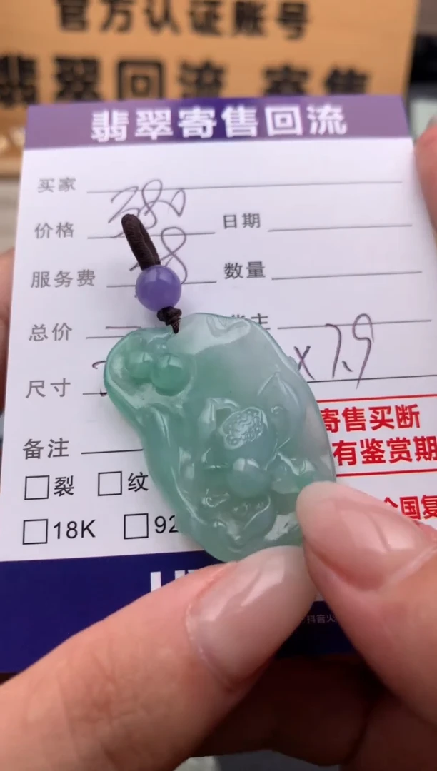 翡翠未镶嵌颈饰10133863