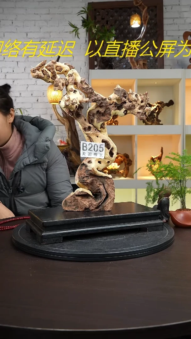 【闪购商品】木木艺云南根艺风化摆件