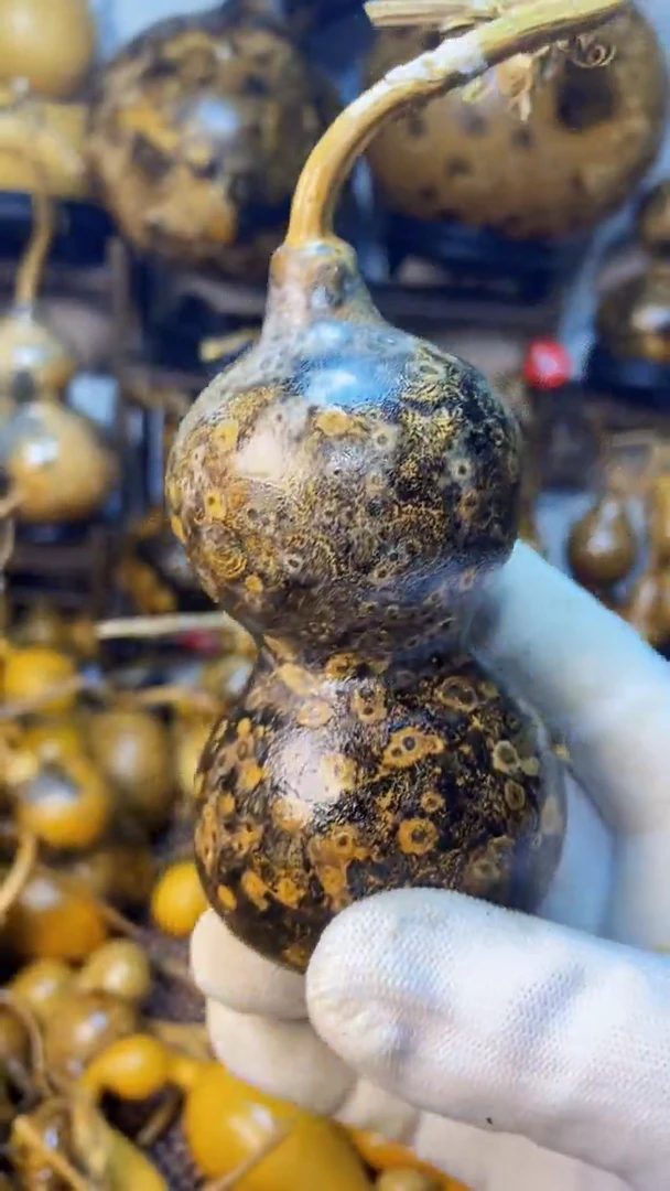 【闪购商品】葫芦葫芦葫芦葫芦葫芦