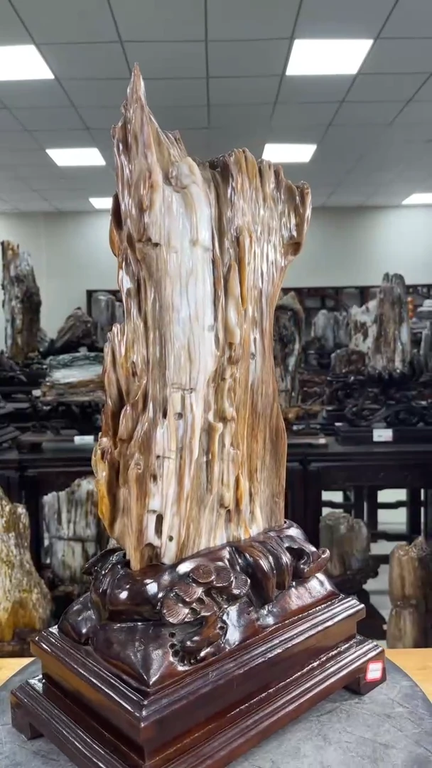 【闪购商品】硅化玉珠宝奇石未镶嵌1