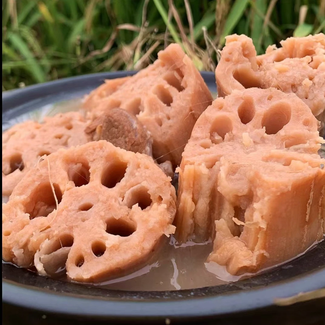 正宗云南新鲜粉藕，煲汤粉糯，现挖现发。精选中段发货。