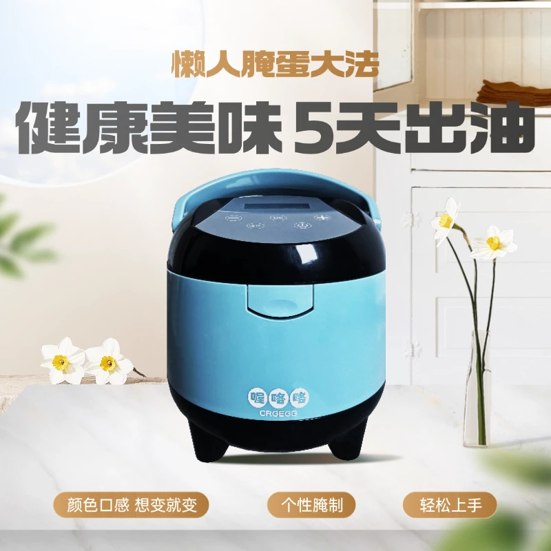 喔咯咯家用多功能快速腌制宝腌制美味咸鸭蛋神器健康个性全自动