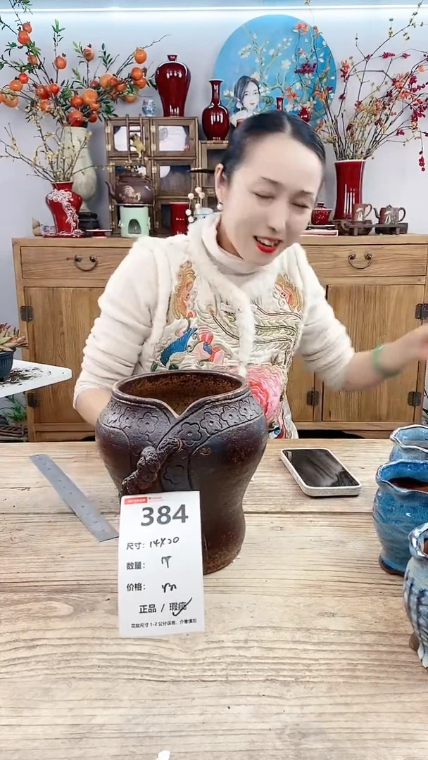 【闪购商品】红陶384