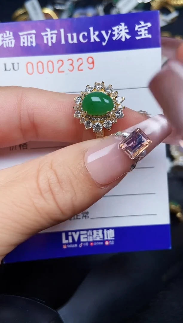 翡翠银S925镶嵌颈饰2329
